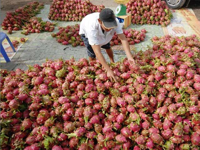 Thị trường - Tiêu dùng - Việt Nam sẽ là ngôi sao sáng tại thị trường Mỹ