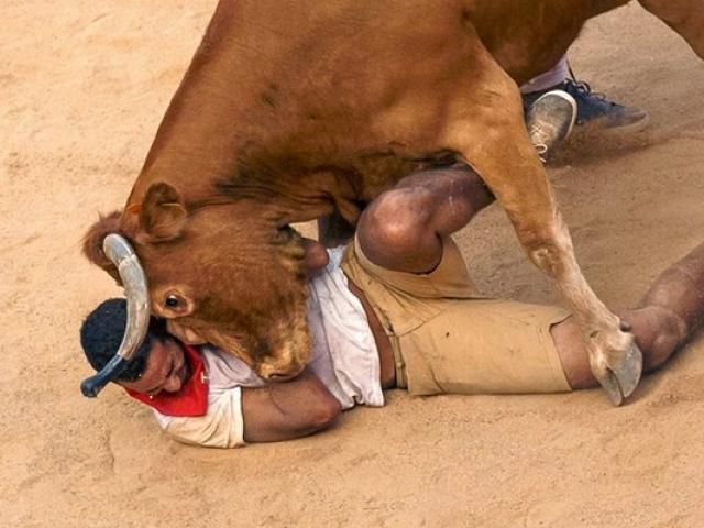 Thế giới - Vì sao Tây Ban Nha không cấm lễ hội bò tót "dã man"?