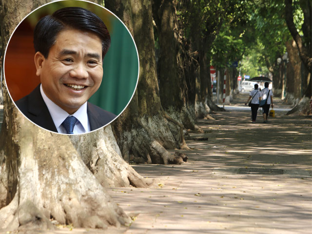 Chủ tịch HN Nguyễn Đức Chung: Cử người đi nước ngoài học trồng cây