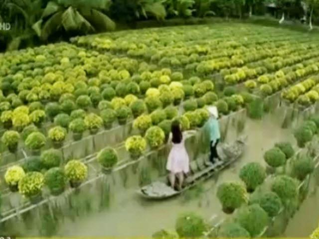 Du lịch - Về thăm ngôi làng có "bốn mùa xuân" ở Đồng Tháp