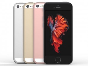 Dế sắp ra lò - iPhone SE lộ ảnh thực tế, giá dưới 10 triệu đồng