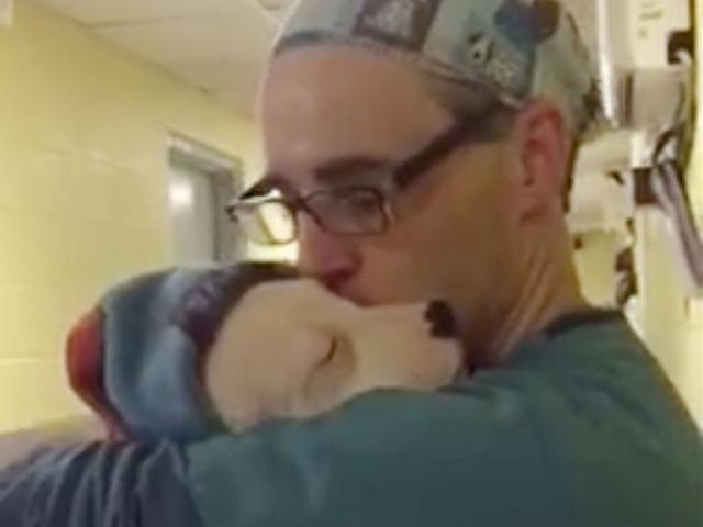 Bạn trẻ - Cuộc sống - Xúc động clip bác sĩ ôm chó đang sợ hãi sau phẫu thuật