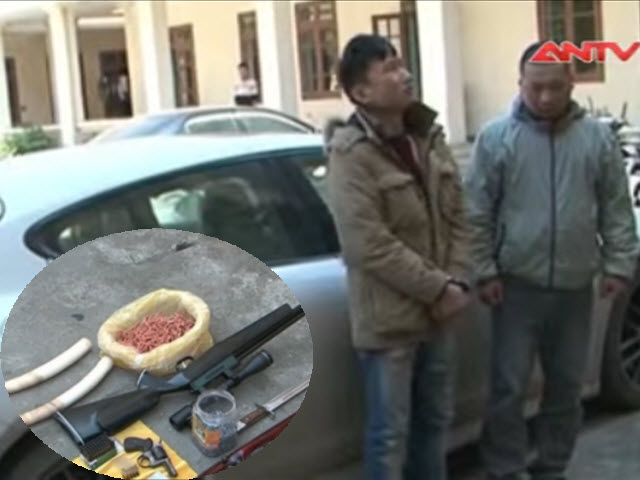 Video An ninh - Bắt nhóm giang hồ “cưỡi” xế hộp đi cướp san hô đỏ