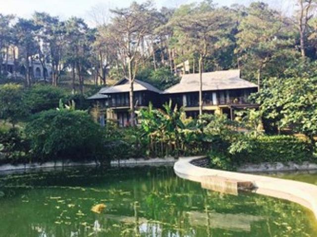 Tin tức trong ngày - Vụ xây resort không phép ở Ba Vì: "Do chúng tôi nể nang"