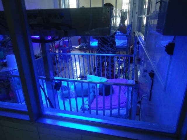 Giới trẻ - Kinh hoàng hủ tục cắn đứt ngón tay để 'trừ tà' cho trẻ sơ sinh