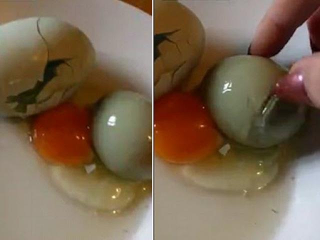 Phi thường - kỳ quặc - Video: Kỳ lạ trứng gà "đẻ" ra trứng