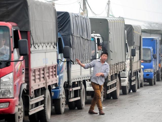 Tin tức trong ngày - Cầu An Thái tê liệt, ô tô xếp hàng 3 tiếng để lên phà