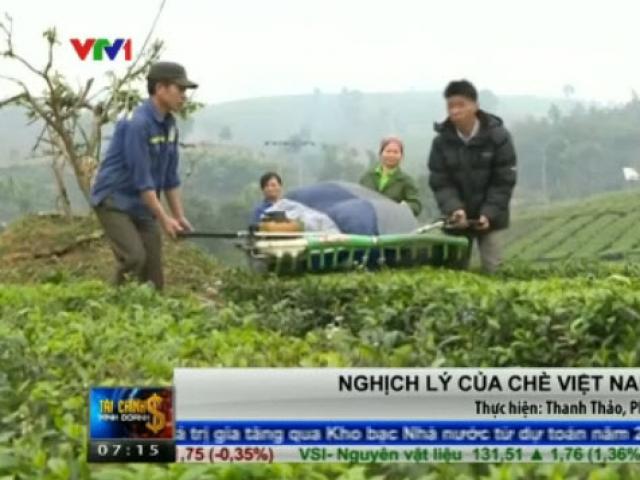 Thị trường - Tiêu dùng - Nghịch lý của chè Việt Nam xuất khẩu