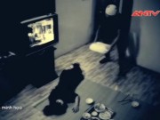 Vây bắt kẻ đốt nhà, đâm chị em thai phụ thương vong (P.Cuối)