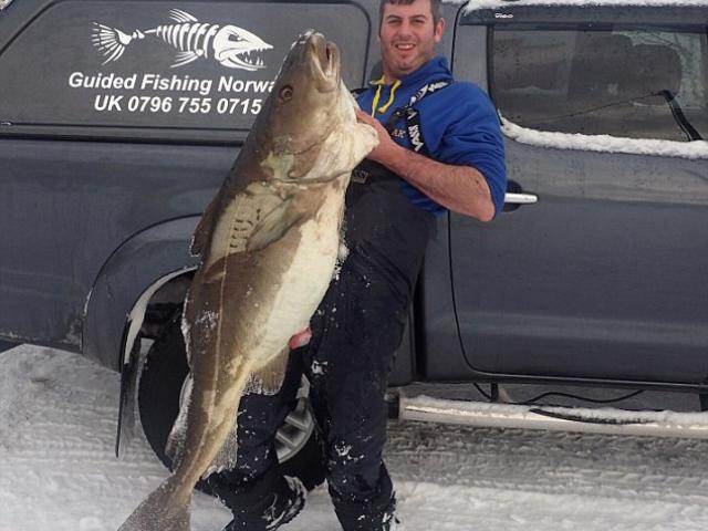 Thế giới - Câu được cá tuyết khổng lồ như người ở Na Uy