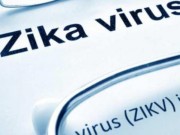 Sức khỏe đời sống - Virus Zika có thể gây viêm tủy dẫn đến liệt?