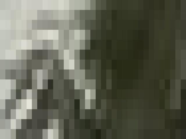 Tin tức trong ngày - Ngọn lửa bao trùm xưởng gỗ 200m2, người dân hoảng loạn