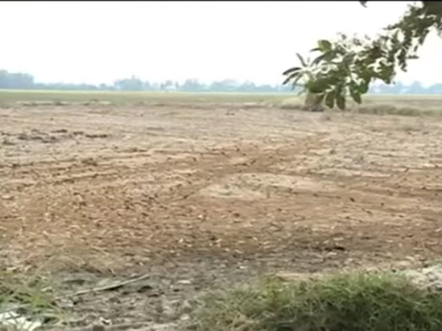 Video An ninh - Nông dân miền Tây kiệt quệ vì hạn hán, ngập mặn