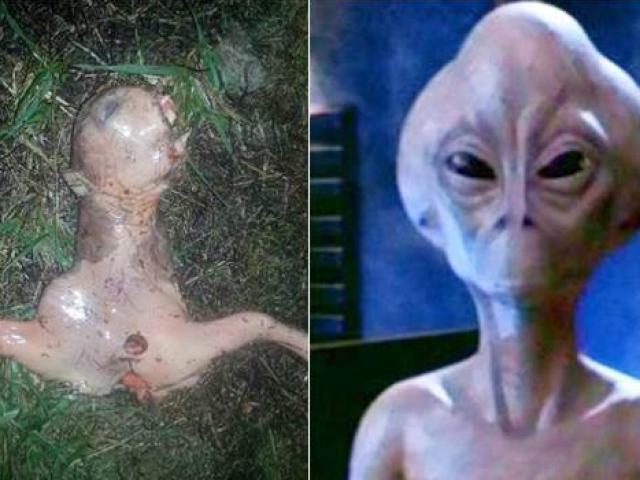 Phi thường - kỳ quặc - Xôn xao những xác "người ngoài hành tinh" trên Trái Đất
