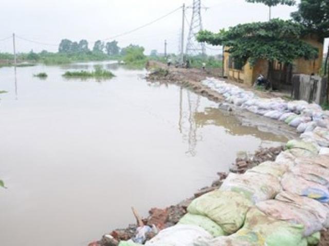 Tin tức trong ngày - Hà Nội đề xuất thêm gần 630 tỷ đồng nạo vét sông Nhuệ