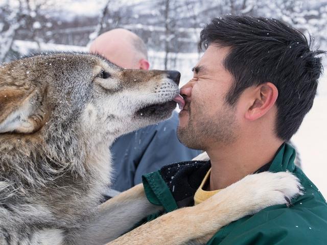 Du lịch - Ở nơi du khách được hôn chó sói