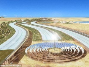 Thế giới - Bắt sa mạc Sahara &quot;đẻ&quot; ra rau xanh, nước sạch quanh năm