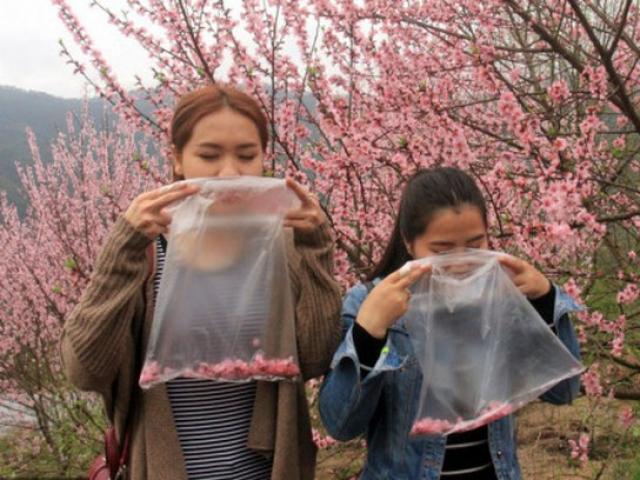 Thế giới - TQ: Bán không khí sạch đựng trong túi nilon