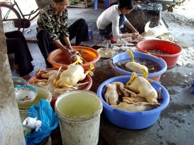 Sức khỏe đời sống - Mất an toàn thực phẩm đã trở thành "quốc nạn"