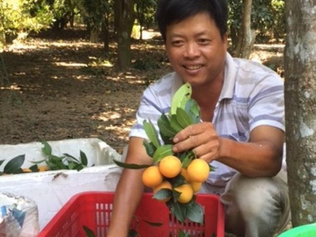 Thị trường - Tiêu dùng - Thanh trà miền Tây mất mùa, giá tăng gấp 3