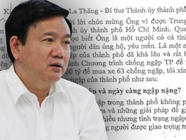 Tin tức trong ngày - Tâm thư chống ngập 7.000 chữ gửi Bí thư Đinh La Thăng