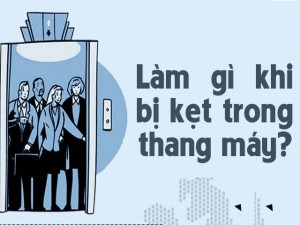 Tin tức trong ngày - [Infographic] Làm gì khi bị kẹt trong thang máy?