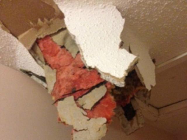 Thế giới - Canada: Phân từ máy bay rơi thủng mái nhà dân