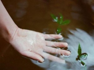 Thơ tình: Mưa đong đầy