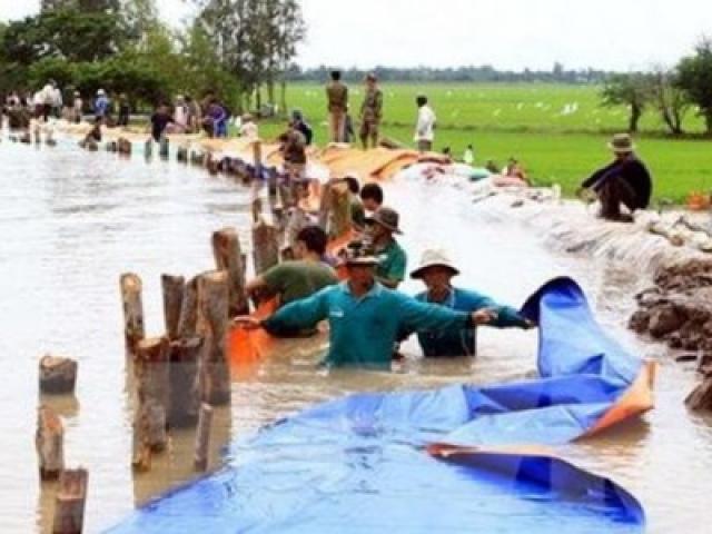 Thị trường - Tiêu dùng - VN làm gì trong lúc Thái Lan chống hạn vài năm trước?