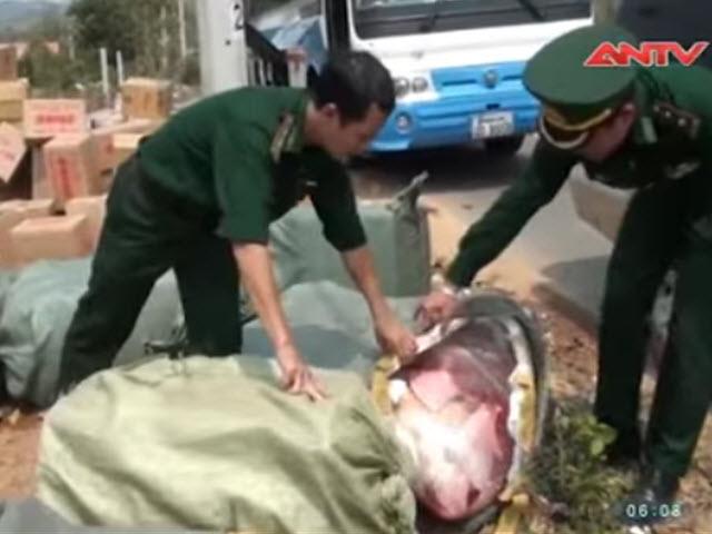 Video An ninh - Rùng mình 3 tấn nội tạng bốc mùi nhét trên xe khách