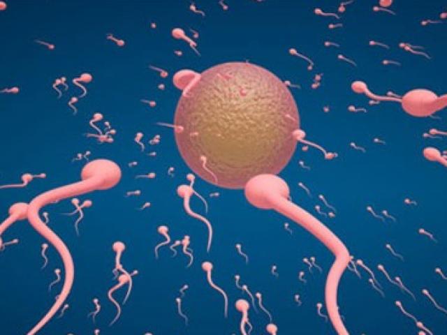 Sức khỏe đời sống - Những "kẻ thù" tiêu diệt tinh binh, phá hoại cuộc sống phòng the