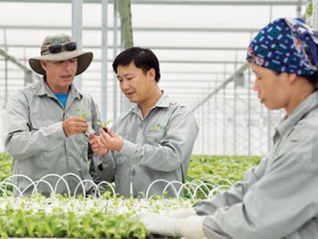 Thị trường - Tiêu dùng - Vượt lên nền nông nghiệp 'cơ bắp'