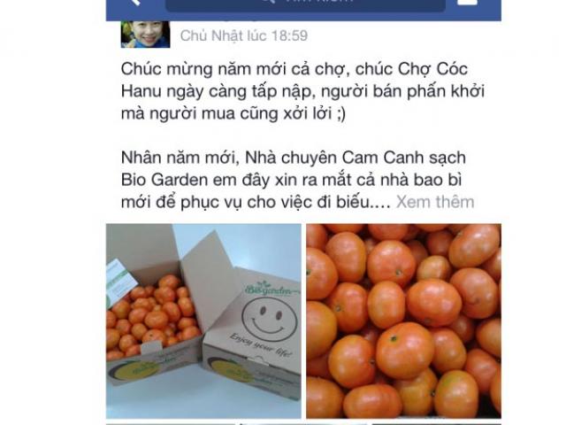 Thị trường - Tiêu dùng - Dân công sở đua nhau bán hàng Tết online