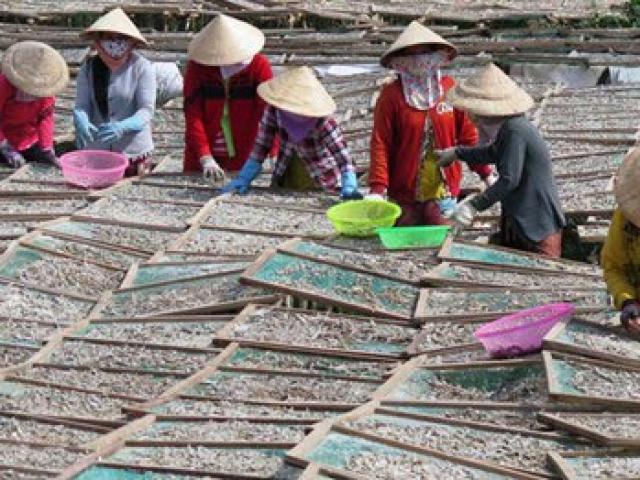 Thị trường - Tiêu dùng - Làng nghề đặc sản vào Tết