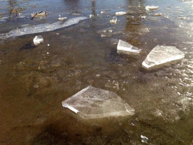 Tin tức trong ngày - Băng giá bất ngờ xuất hiện trên đỉnh núi Fansipan