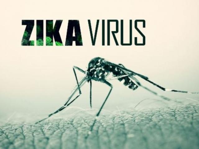 Năm 2017, dịch bệnh do virus Zika sẽ không dừng lại