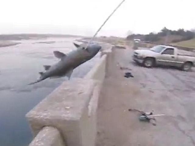 Phi thường - kỳ quặc - Không tưởng: Bắn cung tên cách xa 15m để bắt cá hồi