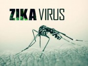 Sức khỏe đời sống - Năm 2017, dịch bệnh do virus Zika sẽ không dừng lại