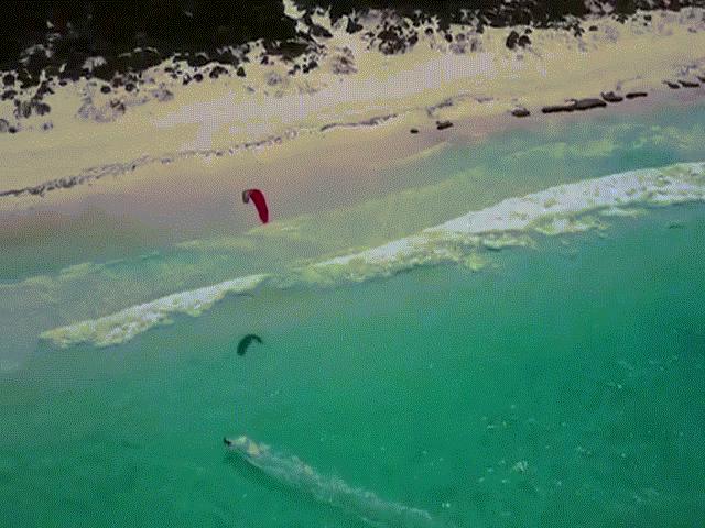 Thế giới - Đang lướt ván, thấy cá mập lừ lừ bơi ngay dưới chân