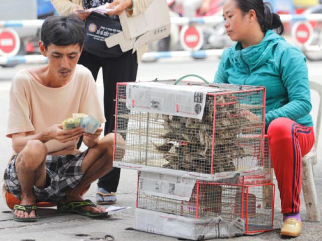 Tin tức trong ngày - Tục phóng sinh: Phóng sinh hay sát sinh?