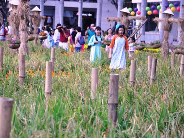 Tin tức trong ngày - Ngắm hình ảnh làng quê ở “phố nhà giàu” tại Sài Gòn