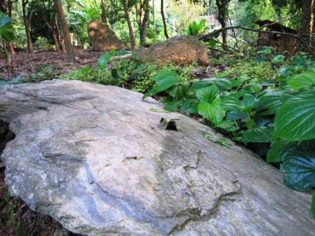 Rừng mộ đá cổ kỳ bí ở xứ Thanh