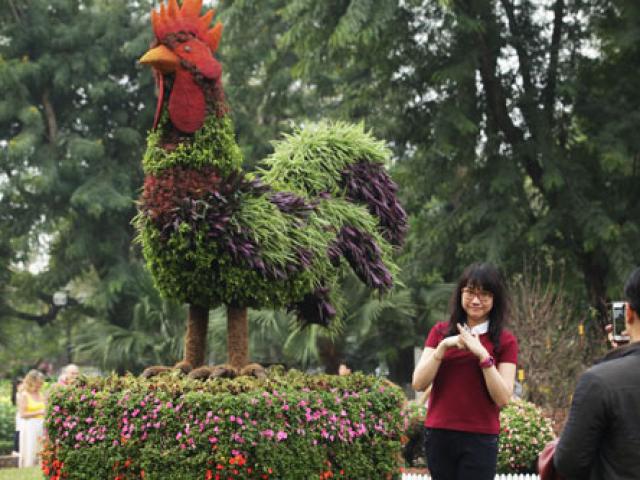 Tin tức trong ngày - Gà trống mô hình khổng lồ khiến người HN thích thú