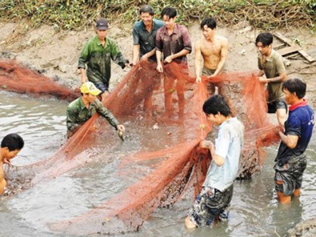 Thị trường - Tiêu dùng - Thầy đìa ở U Minh Hạ