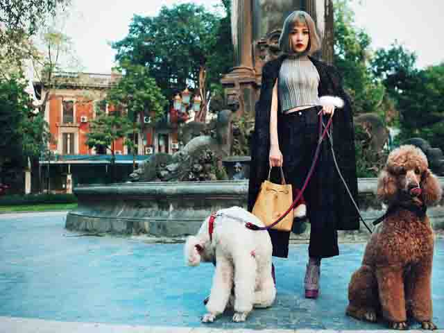 Bí quyết mặc đẹp - Chi Pu sexy "hết nấc" dắt cún cưng ngàn USD dạo phố Xuân