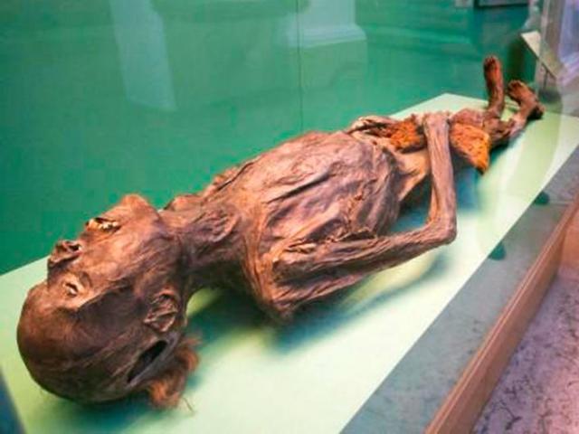 Thế giới - Bí ẩn 2 xác ướp thủ lĩnh đầy hình xăm 2.200 tuổi ở Nga