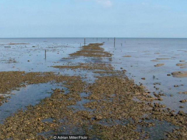 Du lịch - Run rẩy trên "con đường tử thần" ở Anh