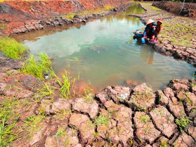 Tài chính - Bất động sản - Bà Phạm Chi Lan chỉ rõ 5 "phép thử" kinh tế năm 2017
