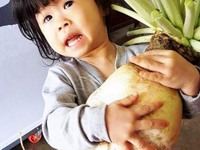 Thị trường - Tiêu dùng - Trồng thành công giống củ cải nặng 5,5 kg