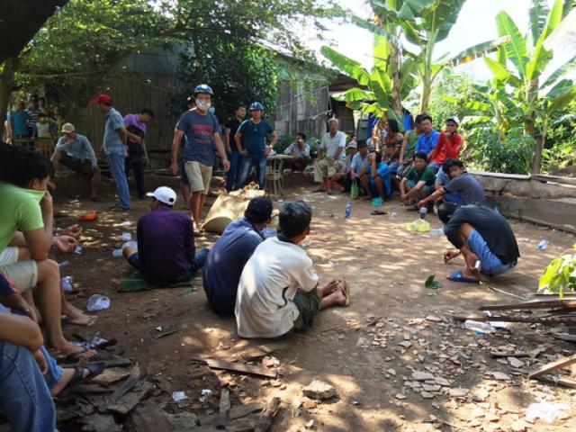 Pháp luật - Cử người canh ở trụ sở CA, trường gà vẫn bị hốt trọn